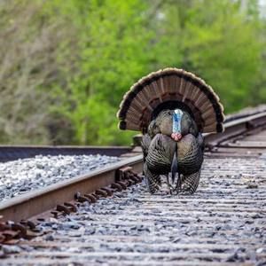 Meet your Posher, Cory